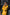 FIELD FR Leather Jacket in Calfskin - Yellow LIMITED ED. - Mid-Length