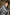 MELBOURNE BK Leather Jacket - Special Edition - Stone Gray -