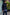 FIELD FR SH Leather Jacket Dark Blue  - Nubuck Suede - Short-Length