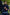 FIELD FR SH Leather Jacket Dark Blue  - Nubuck Suede - Short-Length