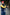 BOSTON 80 Leather Buffalo Suede Varsity Jacket - Blue & Yellow Raw Code Stripes